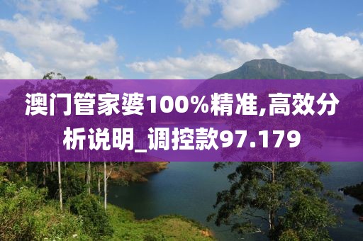 澳门管家婆100%精准,高效分析说明_调控款97.179