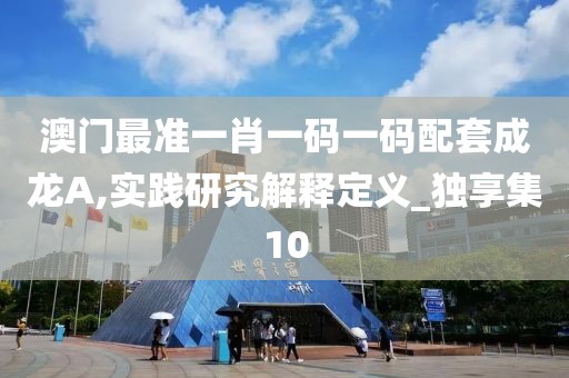 澳门最准一肖一码一码配套成龙A,实践研究解释定义_独享集10
