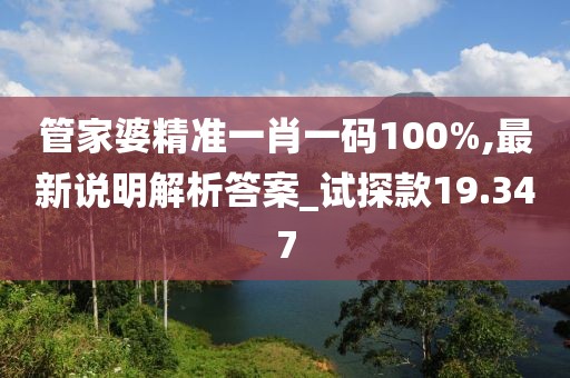管家婆精准一肖一码100%,最新说明解析答案_试探款19.347