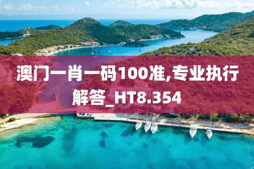 澳门一肖一码100准,专业执行解答_HT8.354