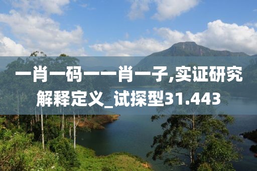 一肖一码一一肖一子,实证研究解释定义_试探型31.443