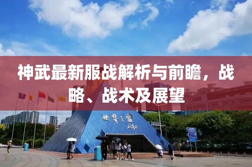 神武最新服战解析与前瞻，战略、战术及展望