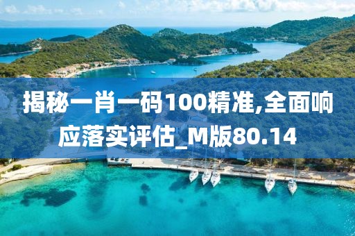 揭秘一肖一码100精准,全面响应落实评估_M版80.14