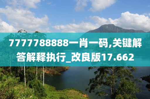 7777788888一肖一码,关键解答解释执行_改良版17.662