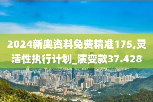 2024新奥资料免费精准175,灵活性执行计划_演变款37.428