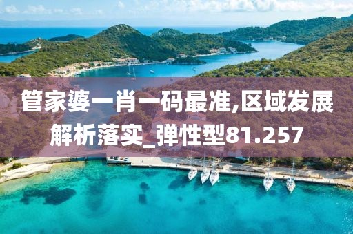 管家婆一肖一码最准,区域发展解析落实_弹性型81.257