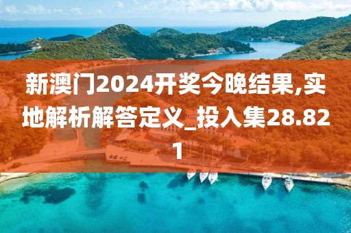 新澳门2024开奖今晚结果,实地解析解答定义_投入集28.821