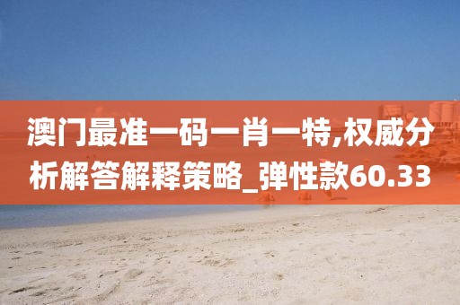 澳门最准一码一肖一特,权威分析解答解释策略_弹性款60.33