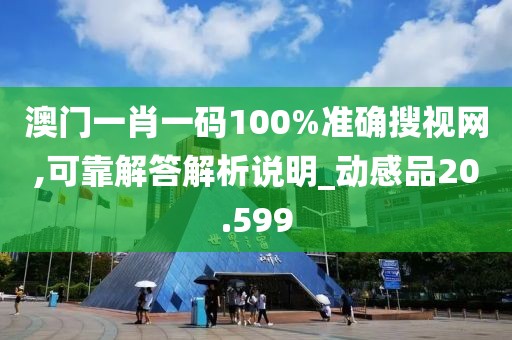 澳门一肖一码100%准确搜视网,可靠解答解析说明_动感品20.599