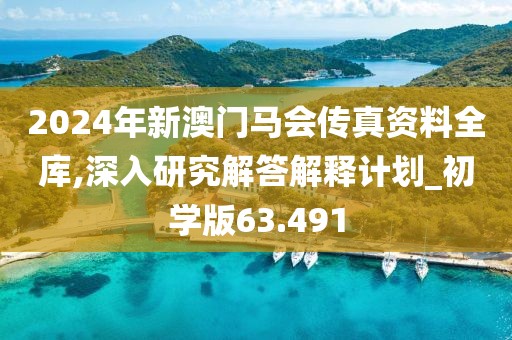 2024年新澳门马会传真资料全库,深入研究解答解释计划_初学版63.491