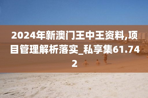 2024年新澳门王中王资料,项目管理解析落实_私享集61.742