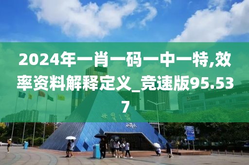 2024年一肖一码一中一特,效率资料解释定义_竞速版95.537