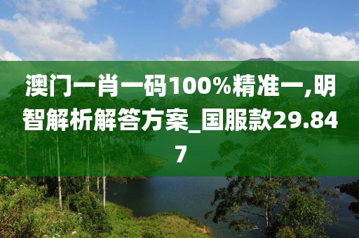 澳门一肖一码100%精准一,明智解析解答方案_国服款29.847