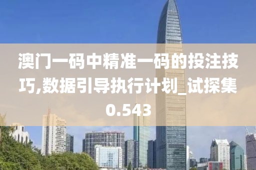 澳门一码中精准一码的投注技巧,数据引导执行计划_试探集0.543