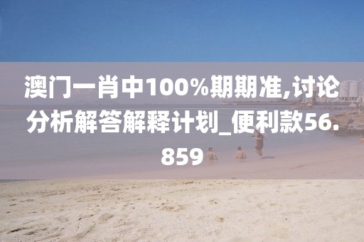 澳门一肖中100%期期准,讨论分析解答解释计划_便利款56.859