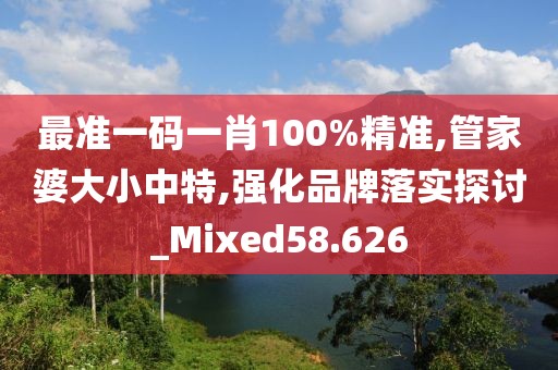 最准一码一肖100%精准,管家婆大小中特,强化品牌落实探讨_Mixed58.626