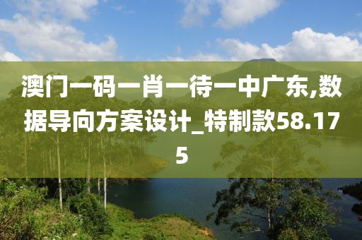 澳门一码一肖一待一中广东,数据导向方案设计_特制款58.175
