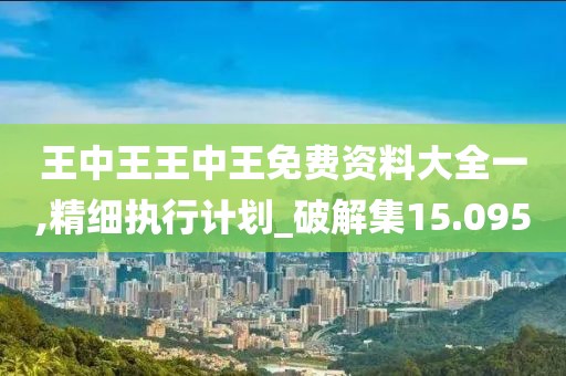 王中王王中王免费资料大全一,精细执行计划_破解集15.095