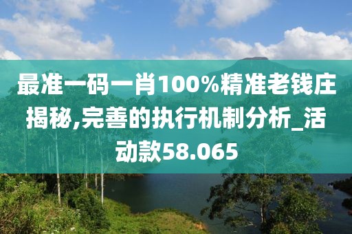 最准一码一肖100%精准老钱庄揭秘,完善的执行机制分析_活动款58.065