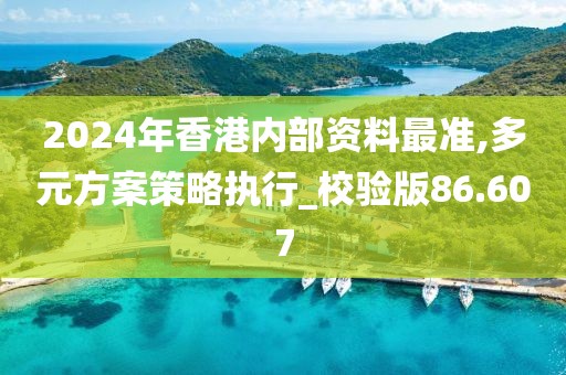 2024年香港内部资料最准,多元方案策略执行_校验版86.607