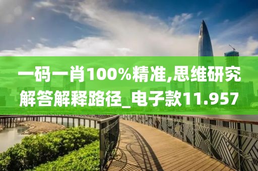 一码一肖100%精准,思维研究解答解释路径_电子款11.957