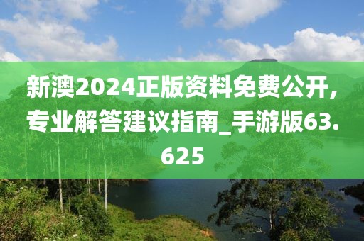 新澳2024正版资料免费公开,专业解答建议指南_手游版63.625