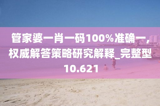 管家婆一肖一码100%准确一,权威解答策略研究解释_完整型10.621