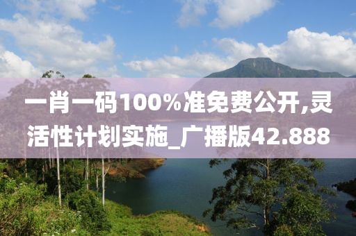 一肖一码100%准免费公开,灵活性计划实施_广播版42.888