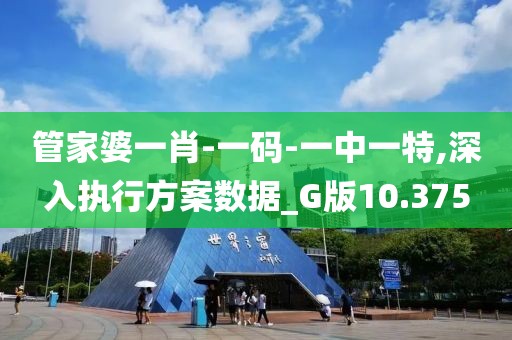 管家婆一肖-一码-一中一特,深入执行方案数据_G版10.375