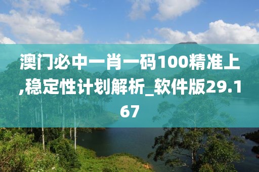 澳门必中一肖一码100精准上,稳定性计划解析_软件版29.167