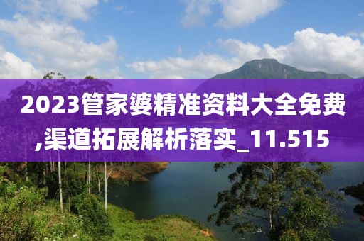 2023管家婆精准资料大全免费,渠道拓展解析落实_11.515