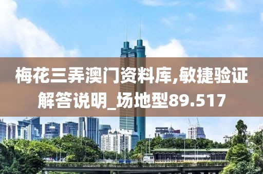 梅花三弄澳门资料库,敏捷验证解答说明_场地型89.517