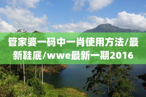 管家婆一码中一肖使用方法/最新鞋底/wwe最新一期2016