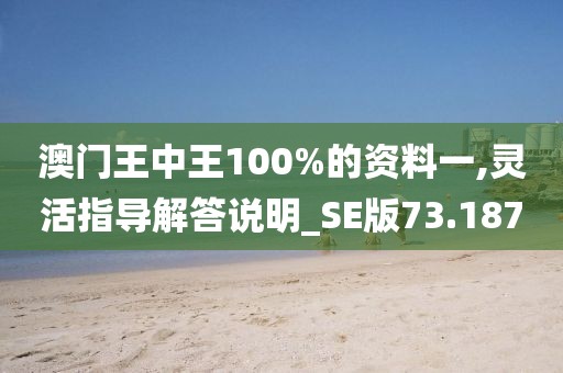 澳门王中王100%的资料一,灵活指导解答说明_SE版73.187