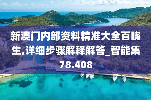 新澳门内部资料精准大全百晓生,详细步骤解释解答_智能集78.408