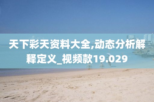 天下彩天资料大全,动态分析解释定义_视频款19.029