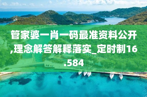 管家婆一肖一码最准资料公开,理念解答解释落实_定时制16.584