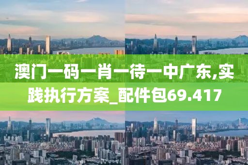 澳门一码一肖一待一中广东,实践执行方案_配件包69.417