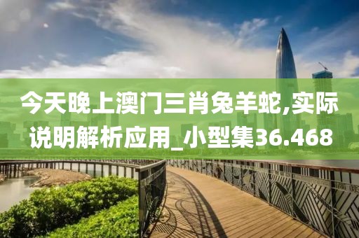 今天晚上澳门三肖兔羊蛇,实际说明解析应用_小型集36.468