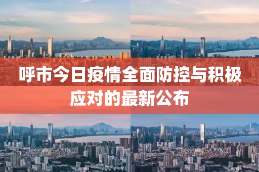呼市今日疫情全面防控与积极应对的最新公布