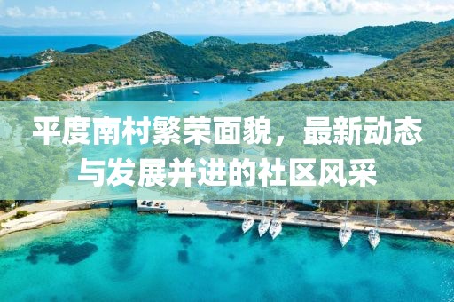 平度南村繁荣面貌，最新动态与发展并进的社区风采