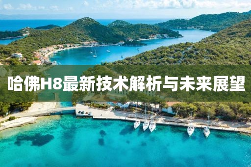 哈佛H8最新技术解析与未来展望