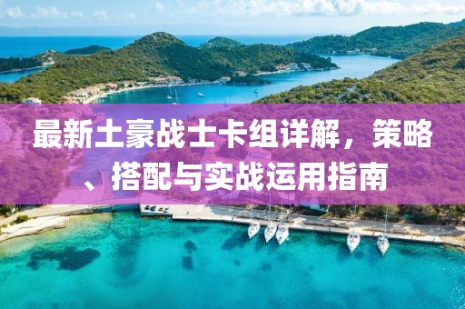 最新土豪战士卡组详解，策略、搭配与实战运用指南