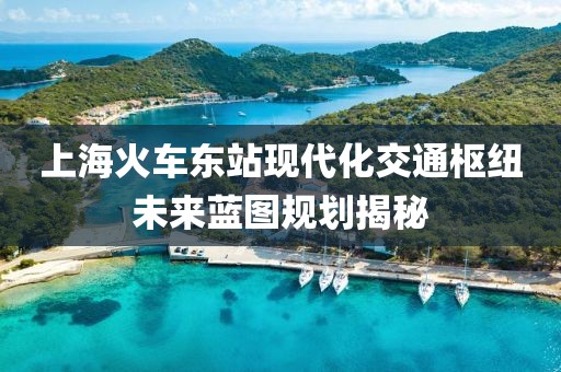 上海火车东站现代化交通枢纽未来蓝图规划揭秘