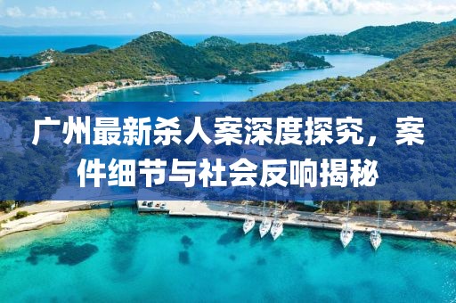 广州最新杀人案深度探究，案件细节与社会反响揭秘