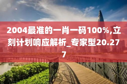 2004最准的一肖一码100%,立刻计划响应解析_专家型20.277