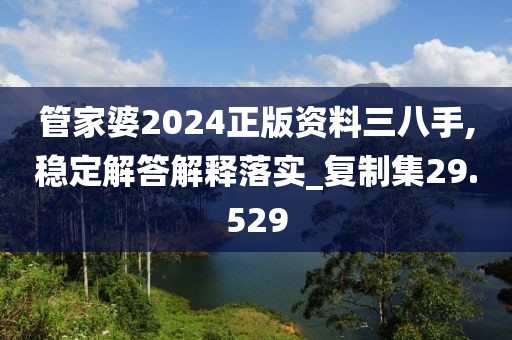 管家婆2024正版资料三八手,稳定解答解释落实_复制集29.529