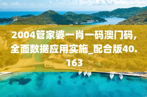 2004管家婆一肖一码澳门码,全面数据应用实施_配合版40.163