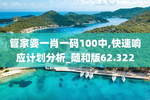 管家婆一肖一码100中,快速响应计划分析_随和版62.322