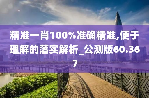 精准一肖100%准确精准,便于理解的落实解析_公测版60.367